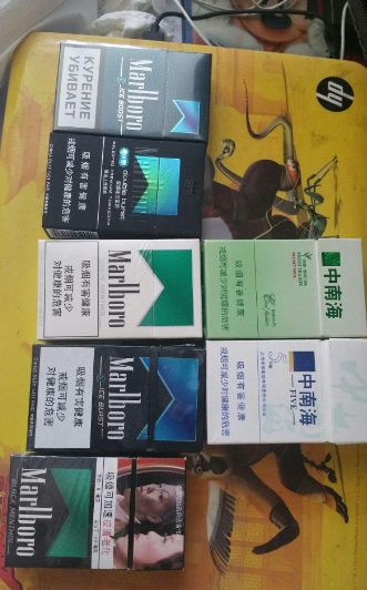 王总在自己家的卧室里谈项目小说